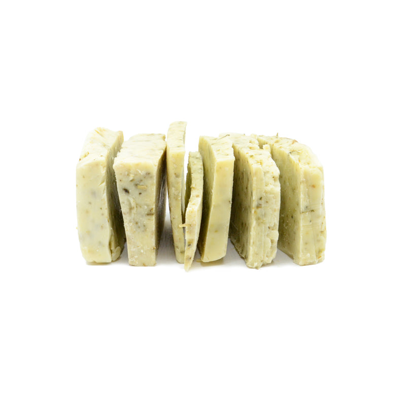 BOUTURES DE SAVON D'ARBRE À THÉ