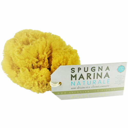 SPUGNA MARINA  ADULTI